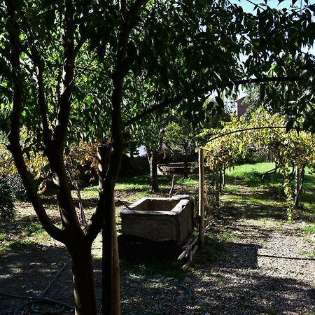 イダーニャ・ア・ノーヴァ Casa Dona Ameliaヴィラ エクステリア 写真