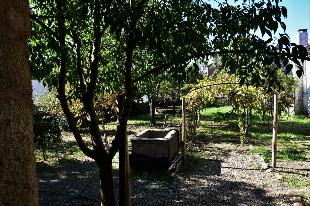 イダーニャ・ア・ノーヴァ Casa Dona Ameliaヴィラ エクステリア 写真